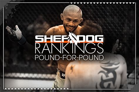 SHERDOG ARCHIVES: Rankings .
